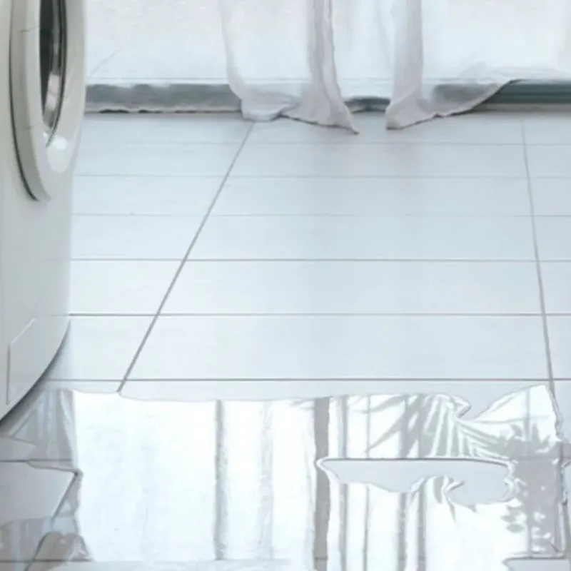 Appliance Leak Cleanup in Gibson City, IL