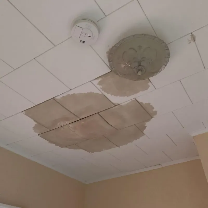 Ceiling Water Damage Repair in Gibson City, IL