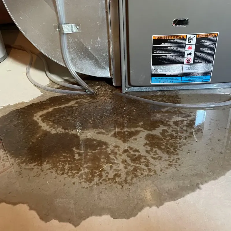 Pipe Burst and Leak Restoration in Gibson City, IL