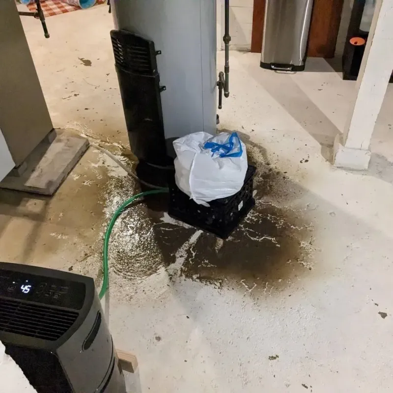 Sewage Backup Cleanup Service in Gibson City, IL